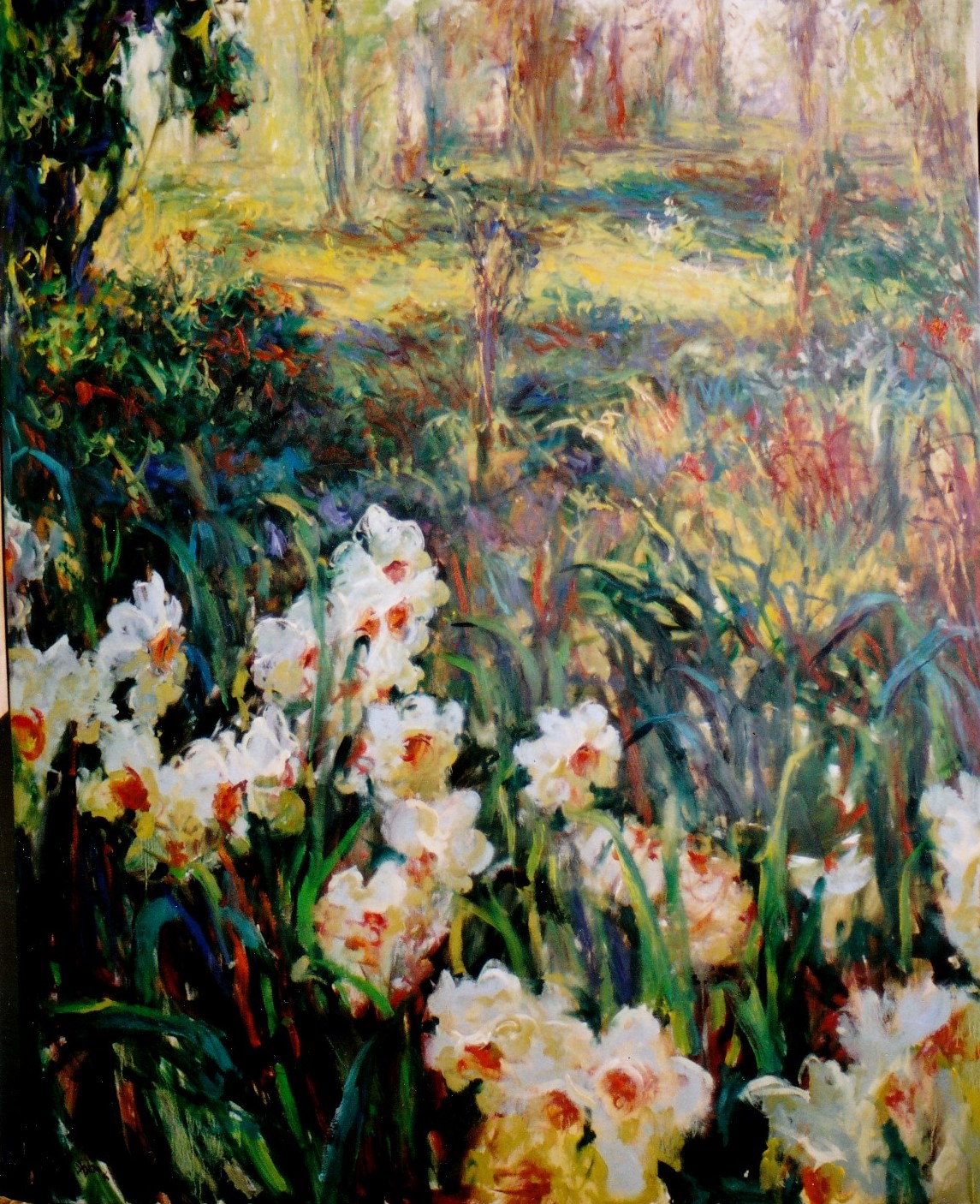 (Daffodil Drift) Oil on canvas 48x60inches
