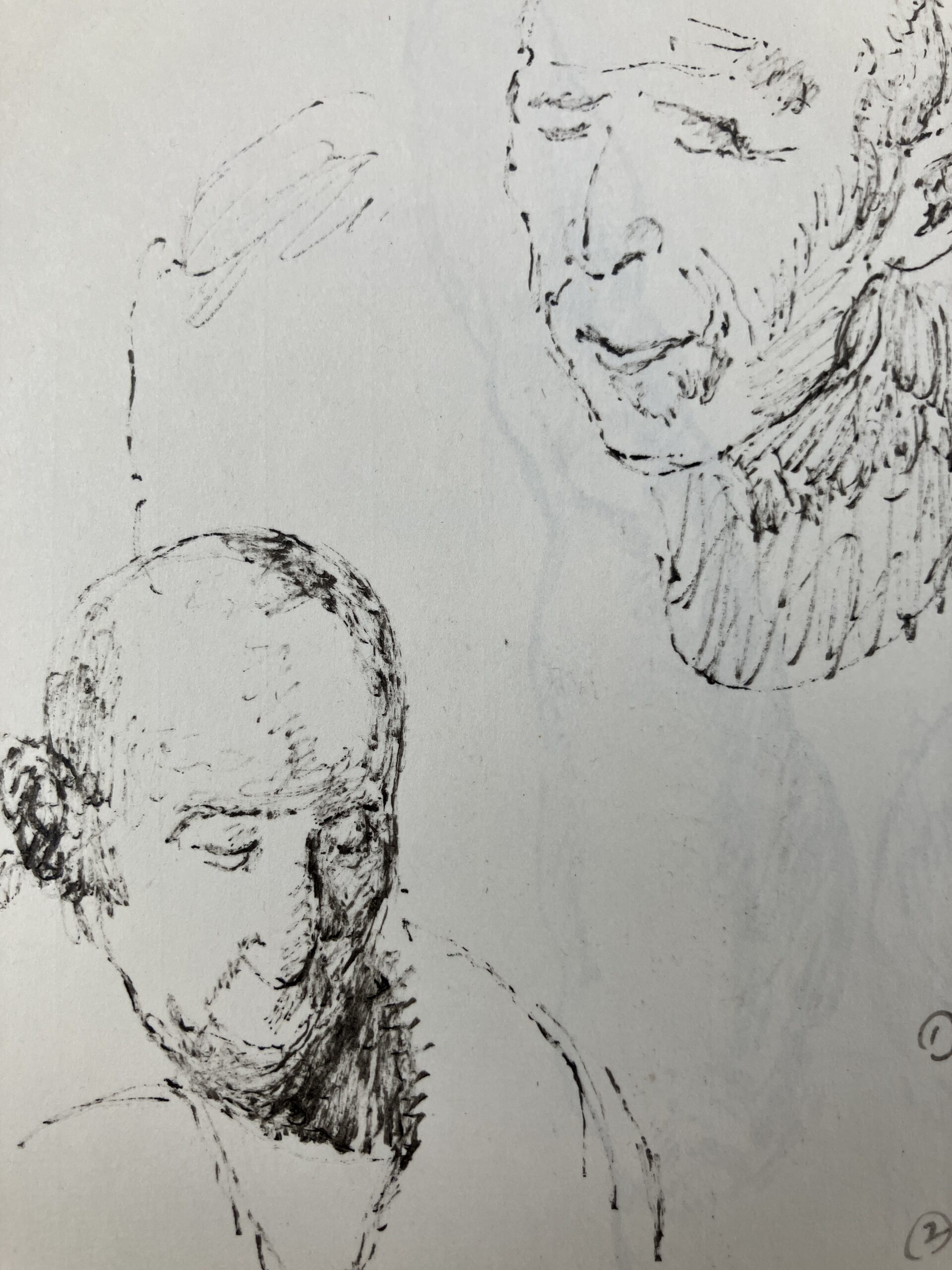 Figure sketch