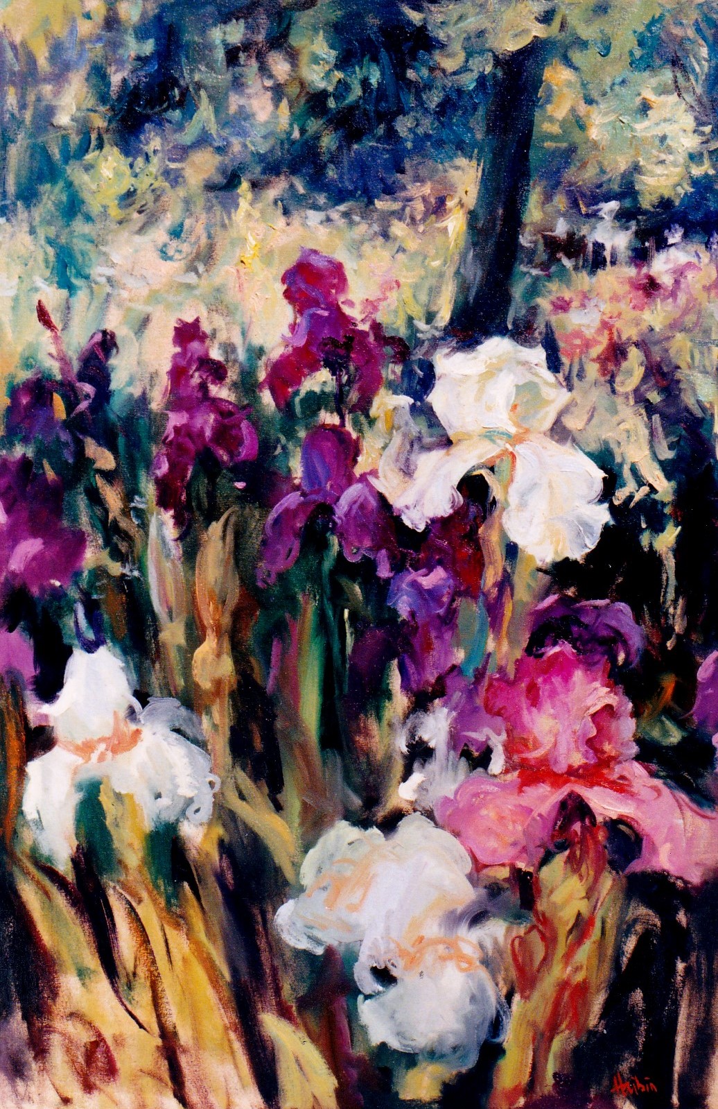 (Iris Radiance) Oil on canvas 24x 36inches 2000-2010 Landscape Paintings