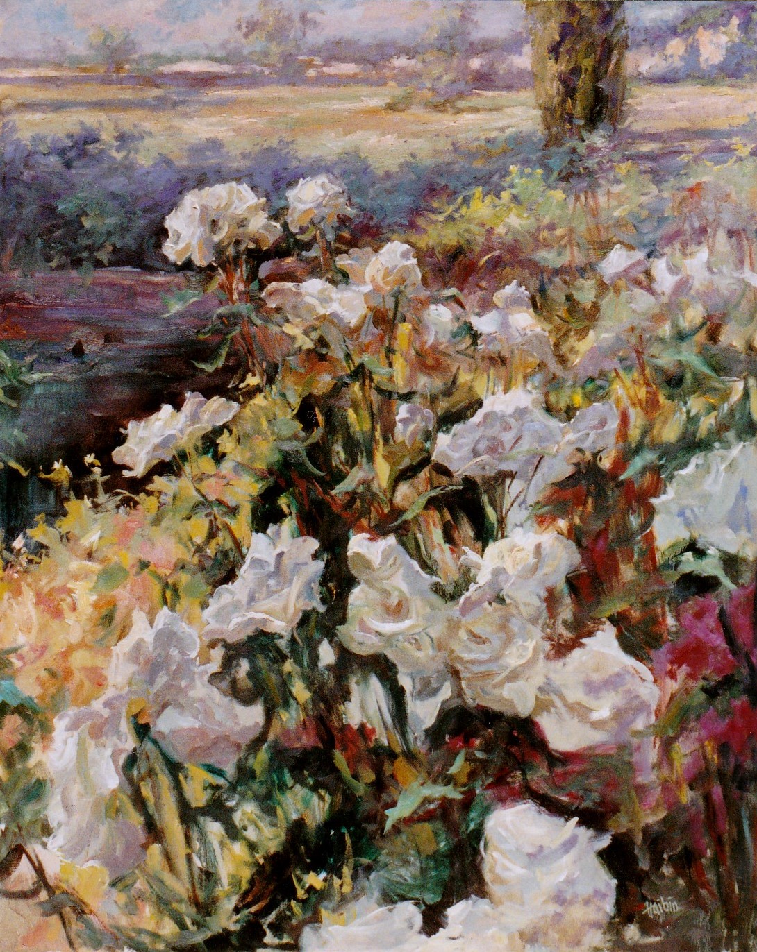 (Shadowplay) Oil on canvas 30x40inches