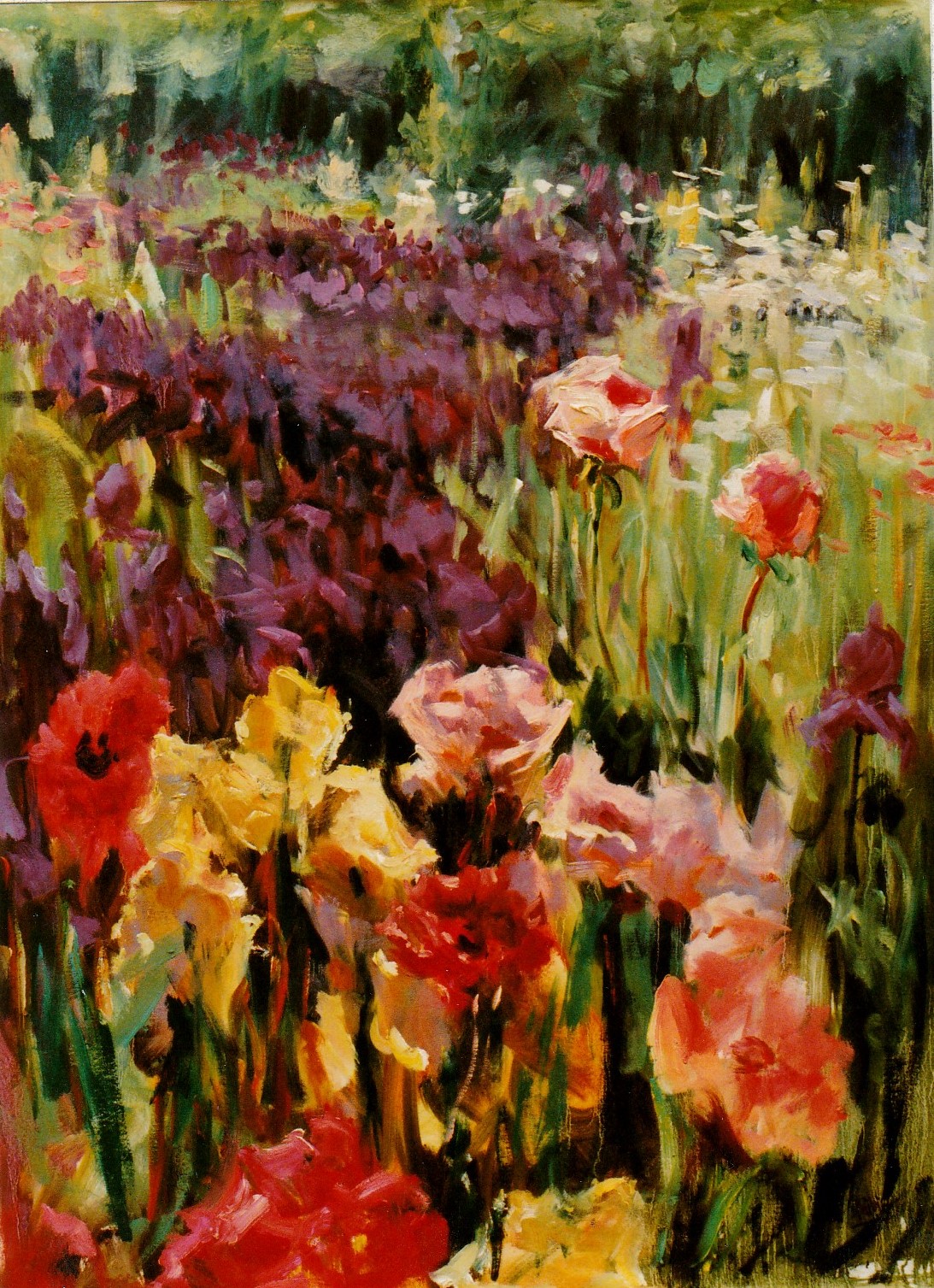 (Sunlight through the Petals) Oil on canvas 30x40inches